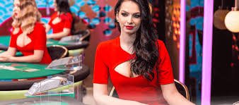 799king live casino trực tuyến